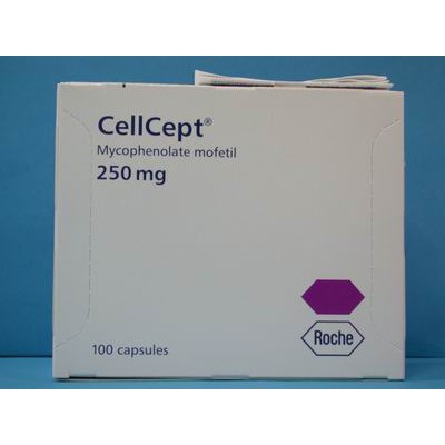 cellcept price in egypt