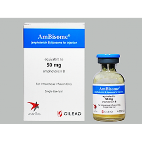 AmBisome 50 Mg ( Amphotericin ) Powder For Infusion / Vial